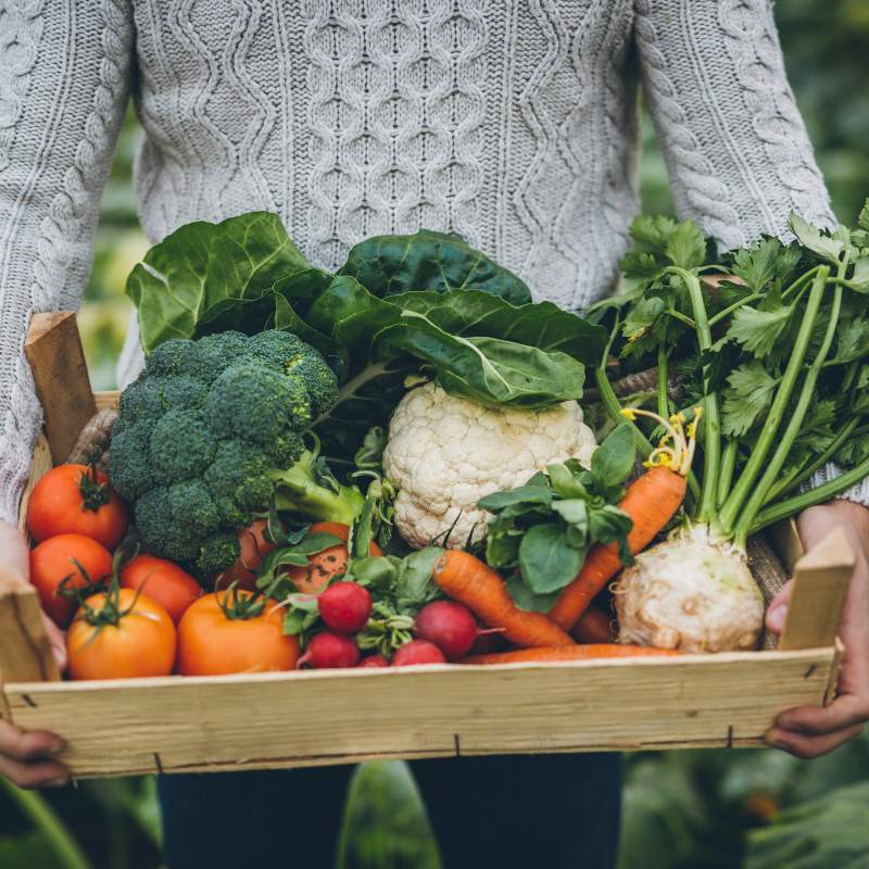 Beneficios de tener una huerta en casa