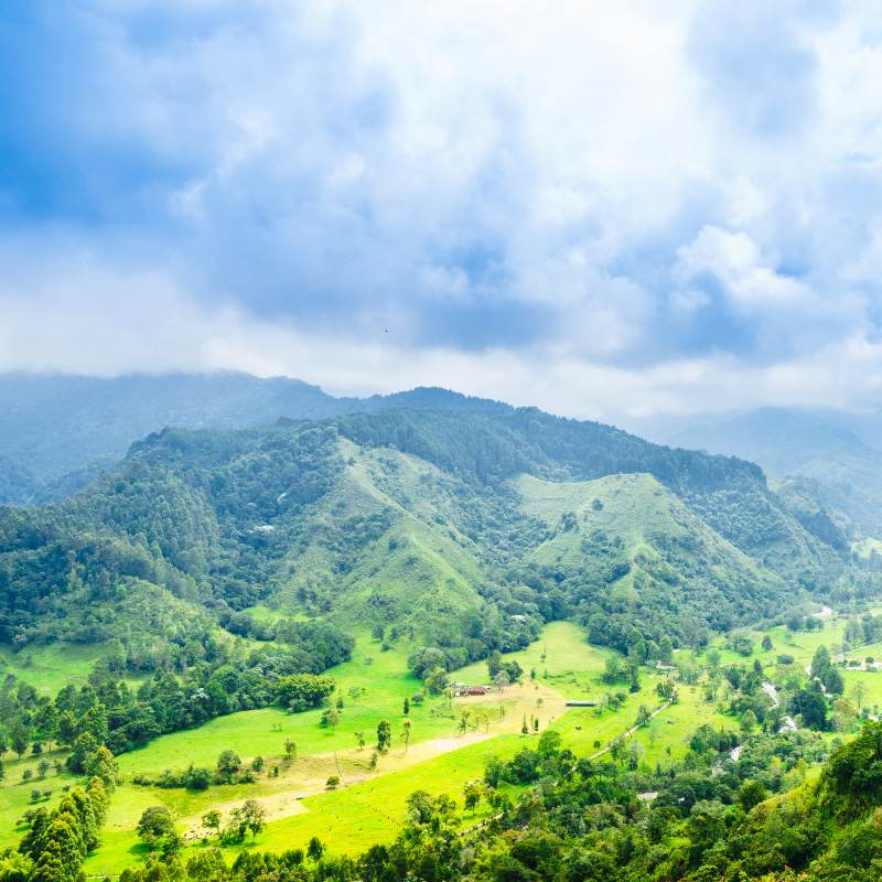 Llanos orientales, zona de colombia llena de preparaciones y tradiciones