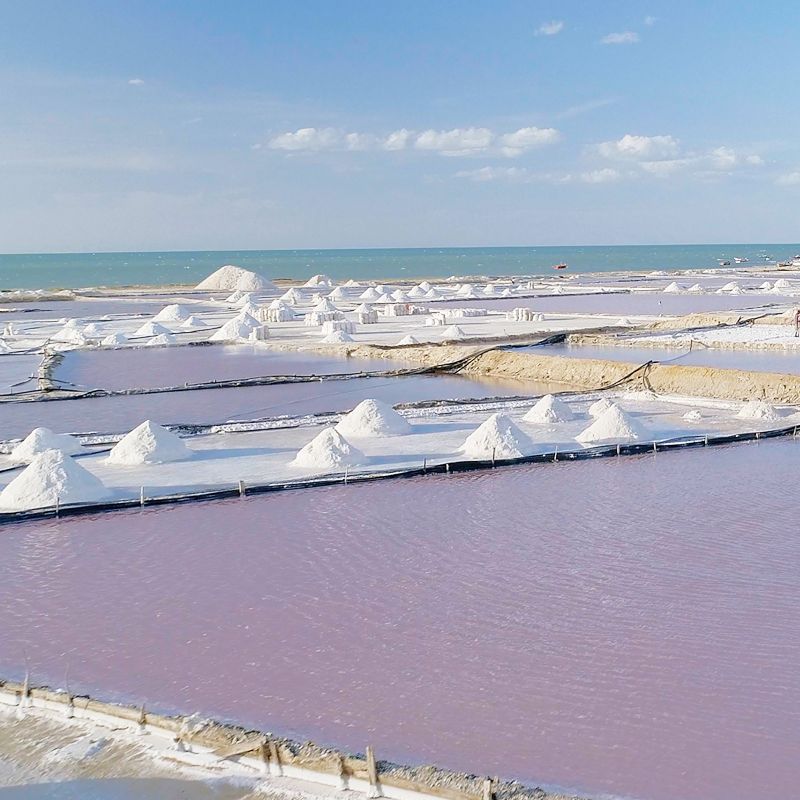 Manaure: tradiciones Wayúu en una tierra rodeada de sal y magia